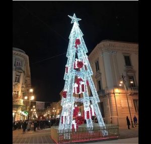 L'albero in Piazza Libertà