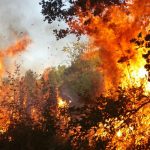 incendi irpinia