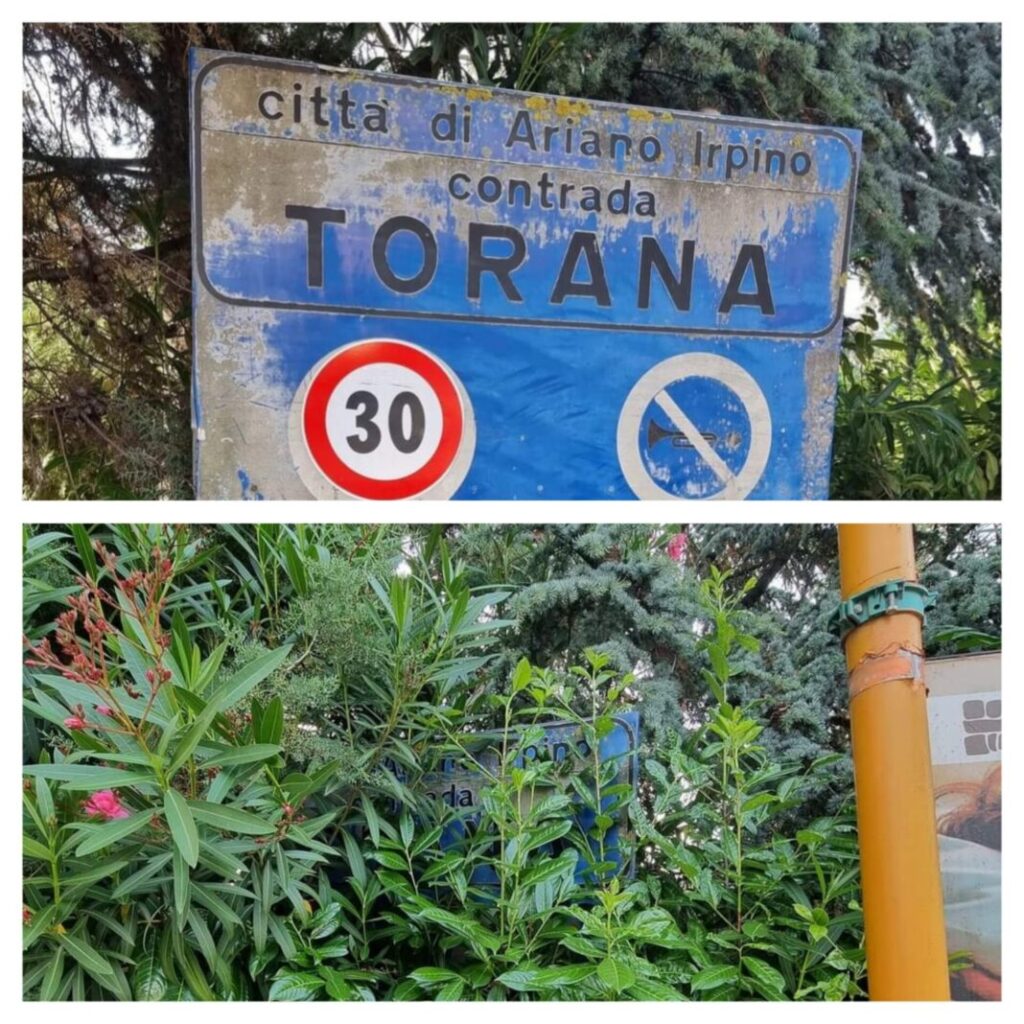 Contrada_Torana_Ariano