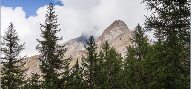 Le Gemme Nascoste della Svizzera: Scopri Località Alpine Fuori dai Percorsi Battuti