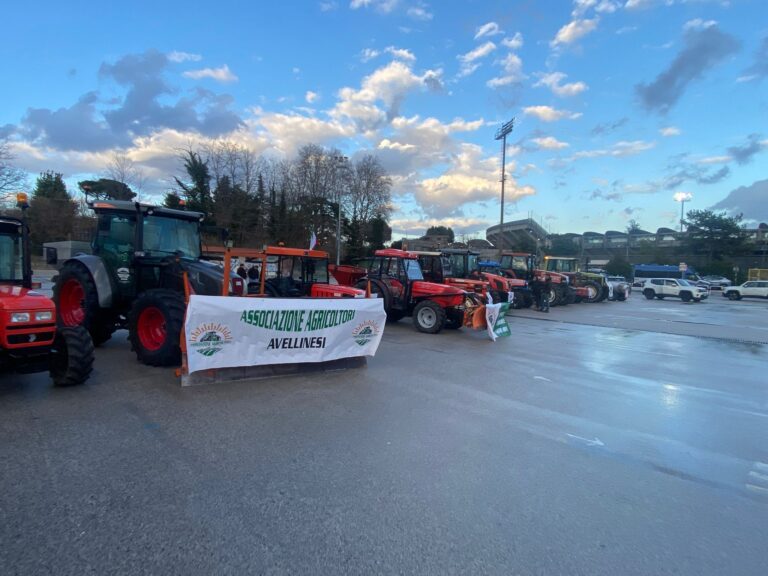 I trattori tornano a sfilare in città: chiediamo lo stato di crisi dell’agricoltura