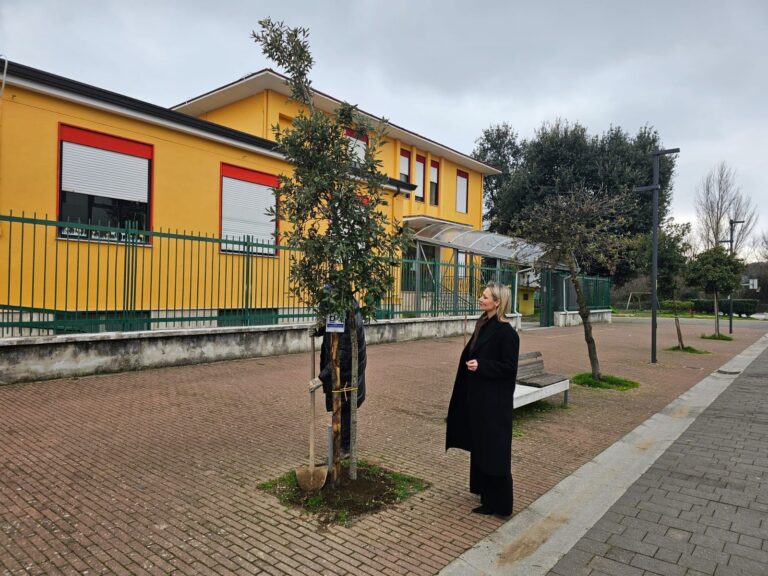 “Un albero per abitante”, il Comune ha piantumato 84  nuovi esemplari in tutta la città