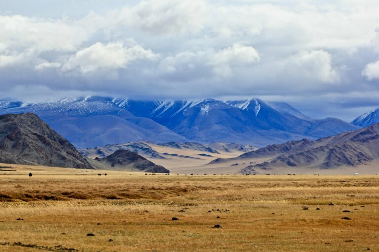 Dalle steppe ai monasteri: Stograntour, agenzia specializzata in tour avventura, racconta l’esperienza di viaggio in Mongolia