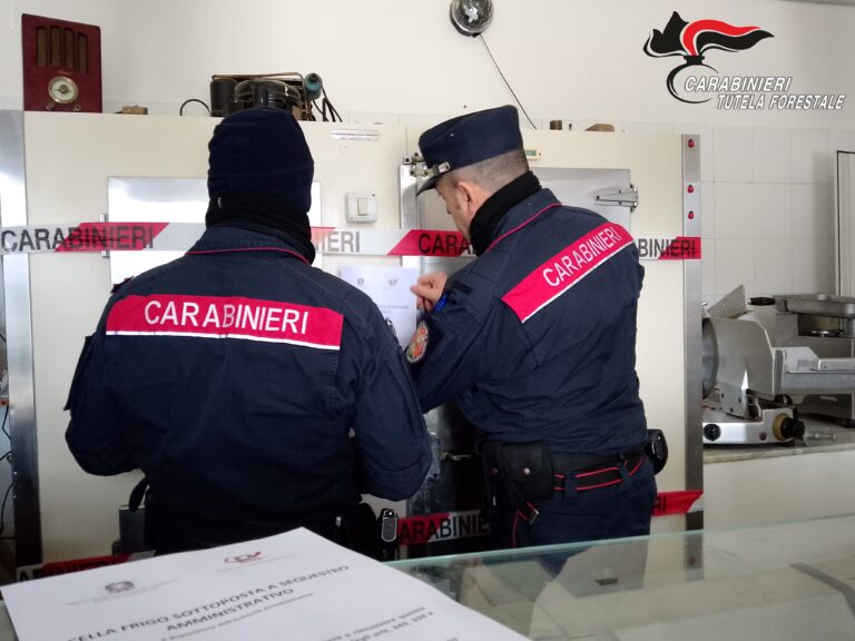 Chiusura di una macelleria ad Arpaise : intervento congiunto dei Carabinieri Forestali e ASL di Benevento