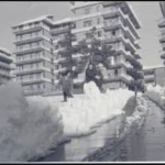 neve bianco e nero